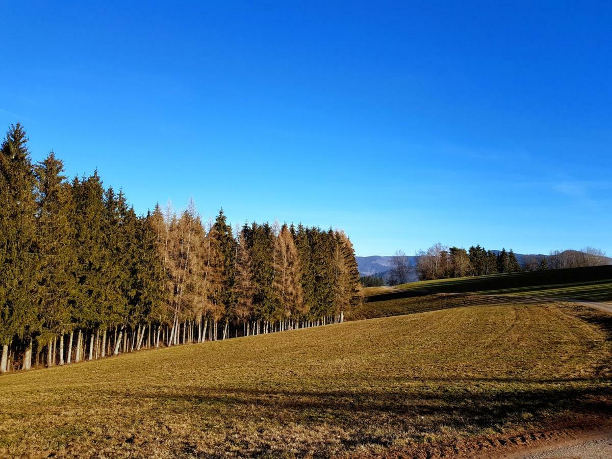 Modernes Appartement Schwarzwald Naehe Freiburg 빈덴 임 엘츠탈 외부 사진