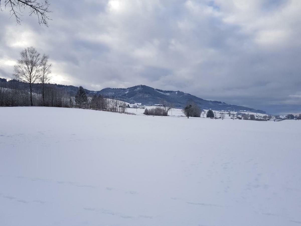 Modernes Appartement Schwarzwald Naehe Freiburg 빈덴 임 엘츠탈 외부 사진
