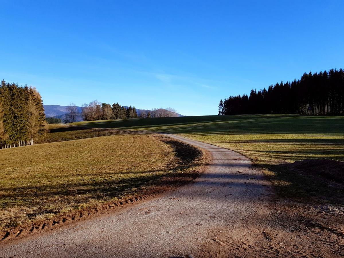 Modernes Appartement Schwarzwald Naehe Freiburg 빈덴 임 엘츠탈 외부 사진